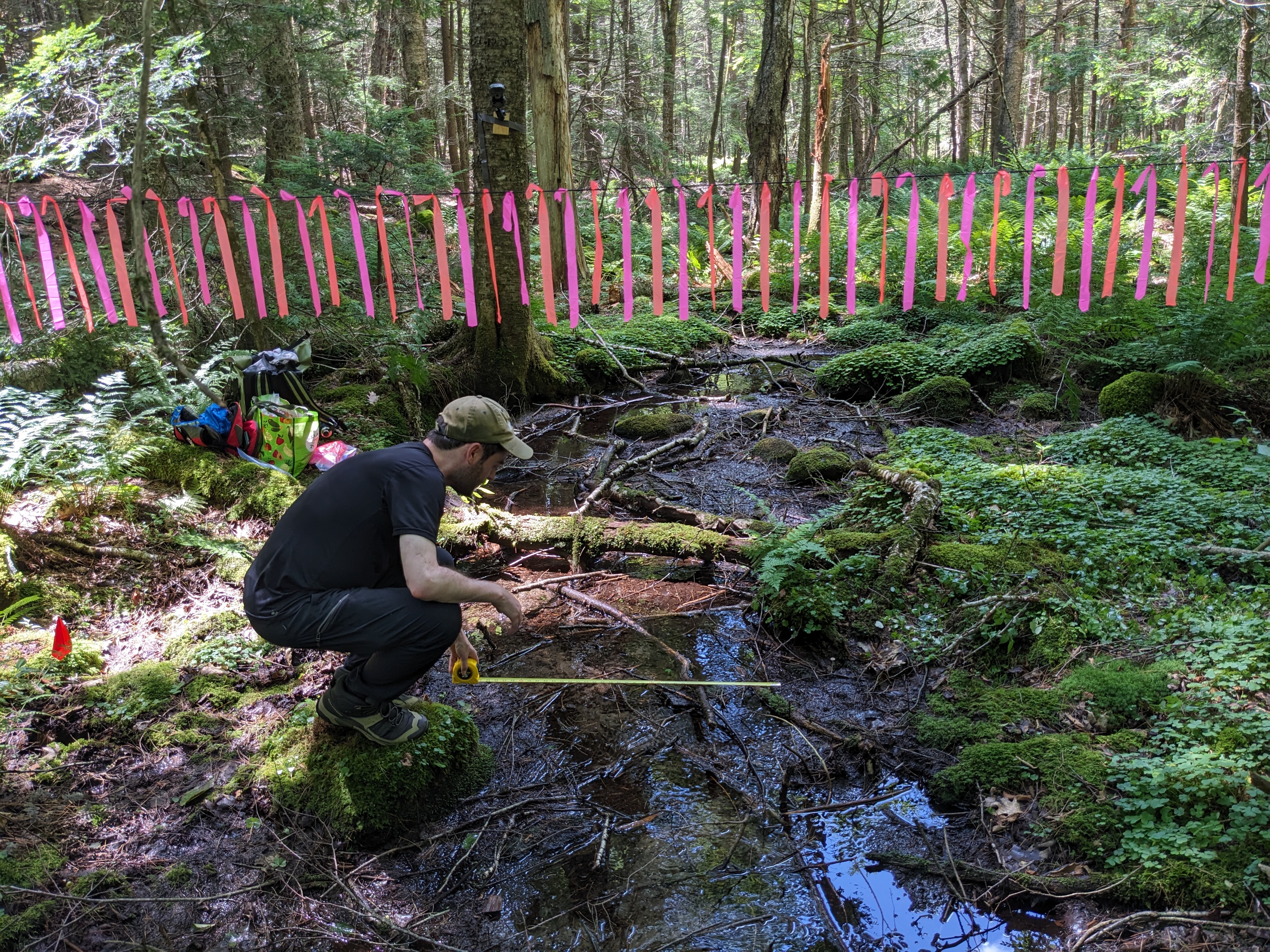 Fieldwork photo 1