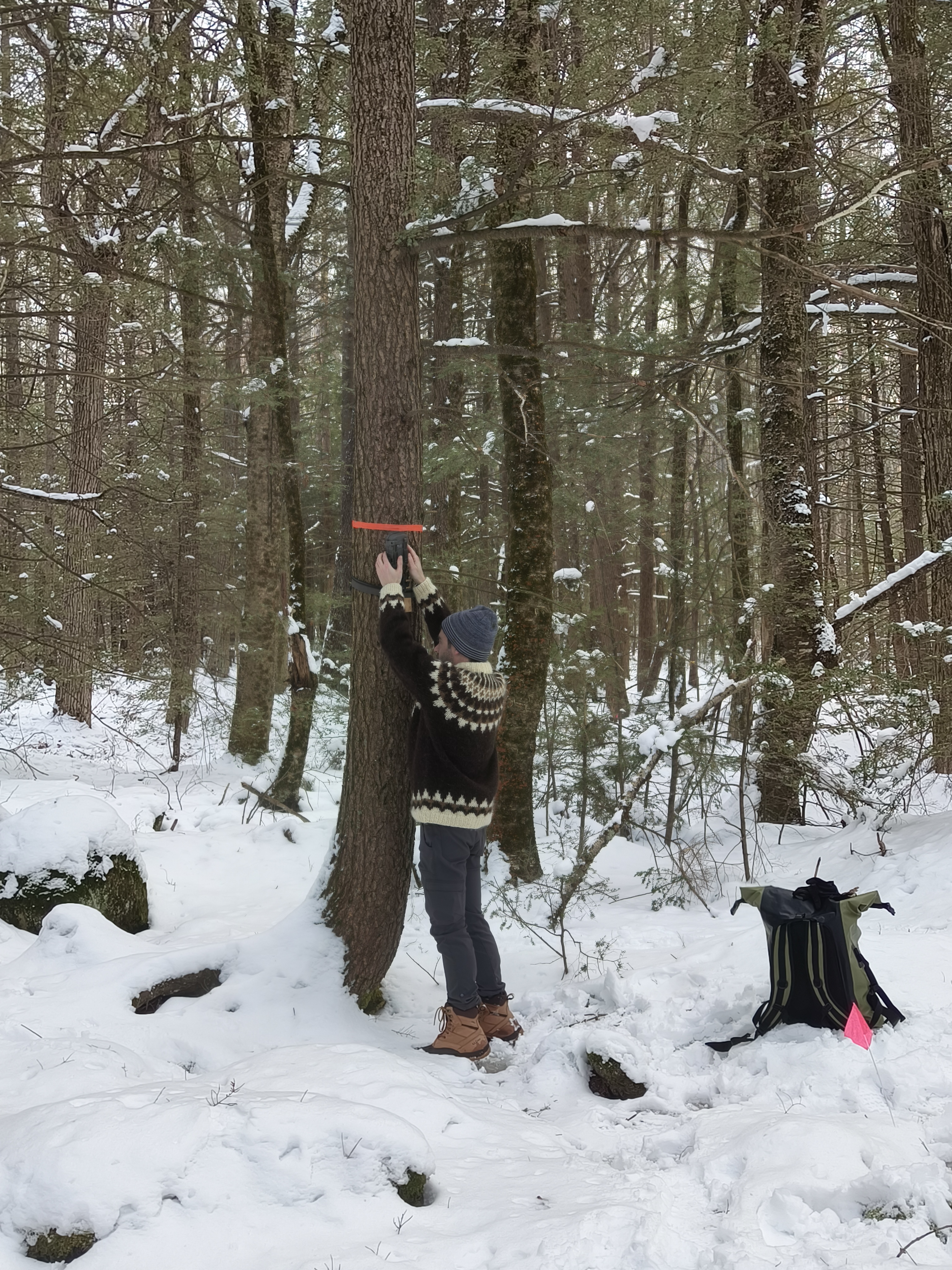 Fieldwork photo 2