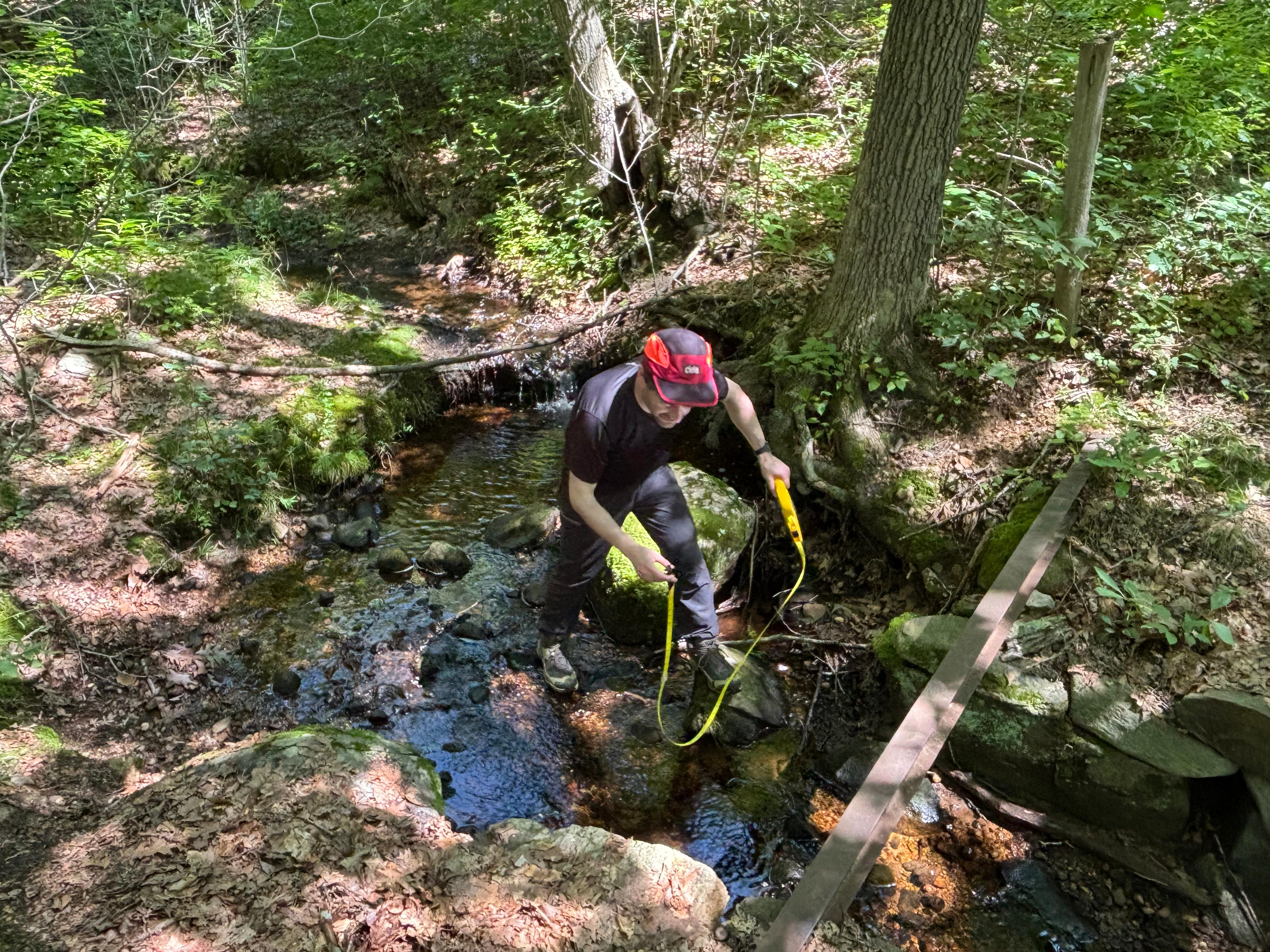 Fieldwork photo 3